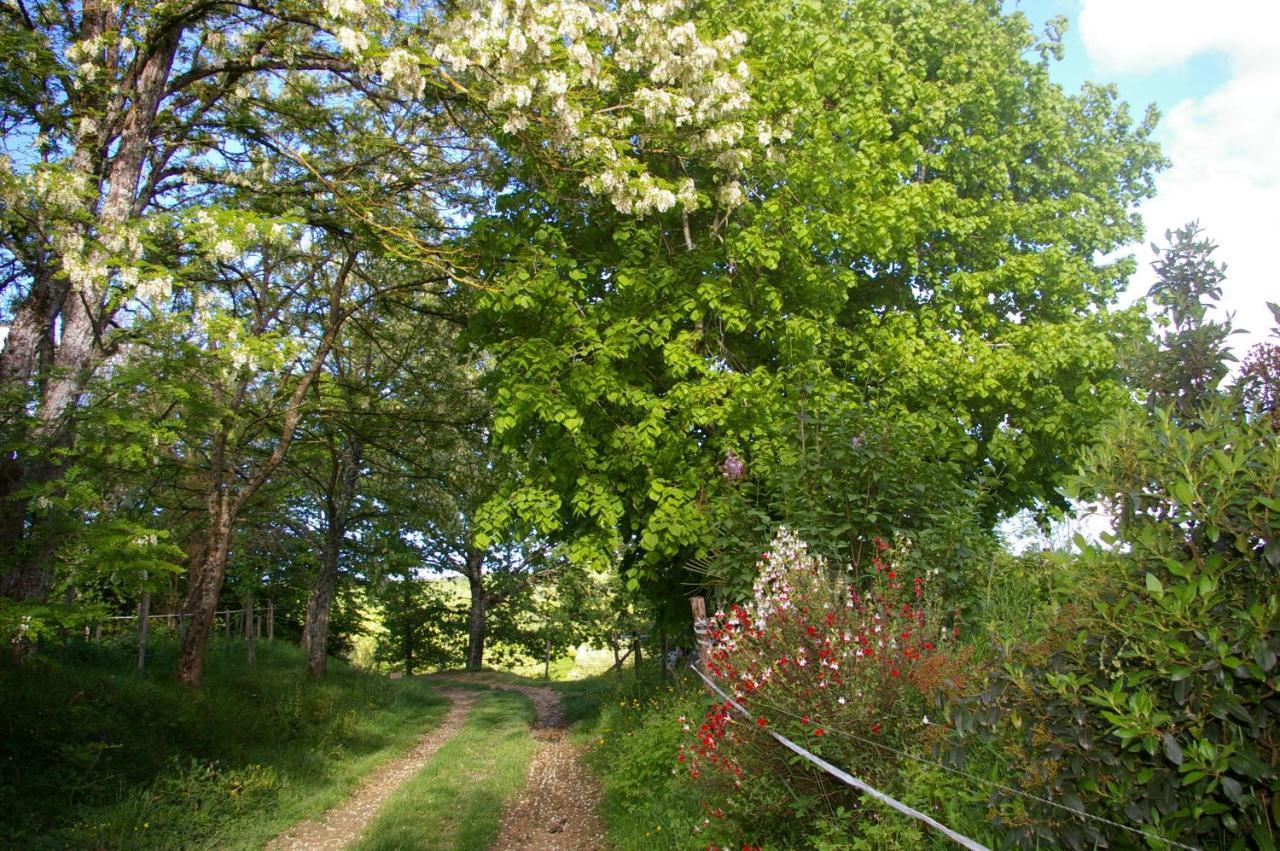 Gite L'Appel De La Foret Betplan Bagian luar foto