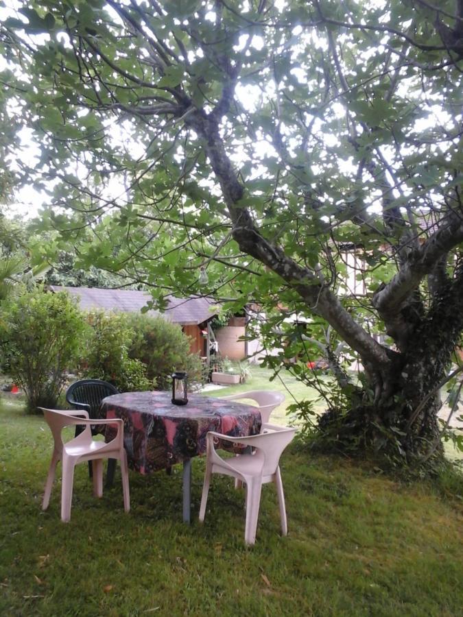 Gite L'Appel De La Foret Betplan Bagian luar foto