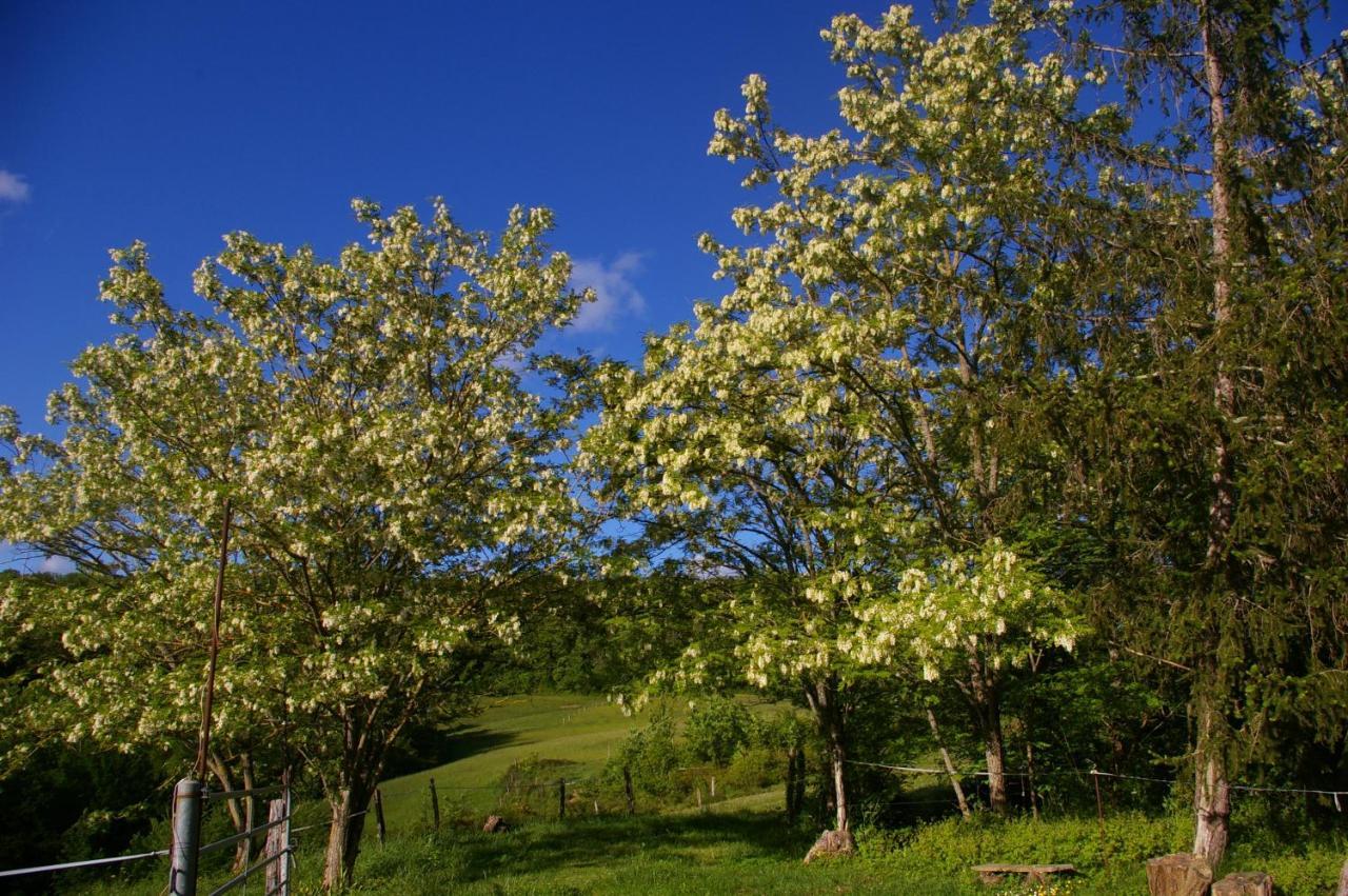 Gite L'Appel De La Foret Betplan Bagian luar foto