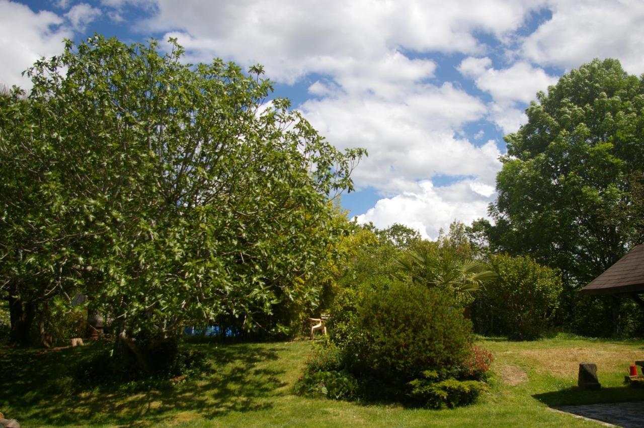 Gite L'Appel De La Foret Betplan Bagian luar foto